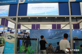 近500家水產(chǎn)產(chǎn)業(yè)鏈企業(yè)齊聚合肥漁博會(huì)，現(xiàn)場(chǎng)亮點(diǎn)紛呈，行業(yè)盛事引領(lǐng)產(chǎn)業(yè)新方向