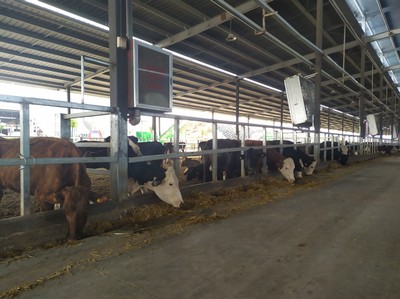 唐河縣 產(chǎn)業(yè)賦能鄉(xiāng)村振興 畜牧漁業(yè)飼料銷(xiāo)售新篇章